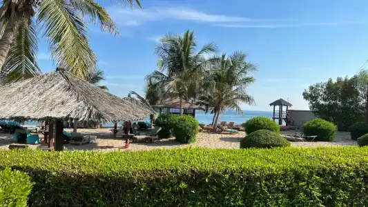 Le Meridien Al Aqah Beach Resort - 13