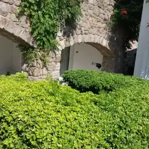 Royal Asarlik Beach - 97