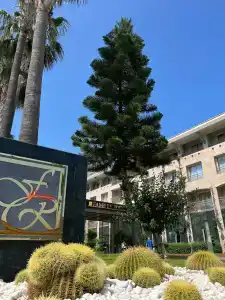 Fame Residence Kemer & Spa - 94