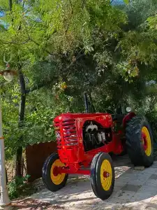 Petunya Konak Boutique - 35