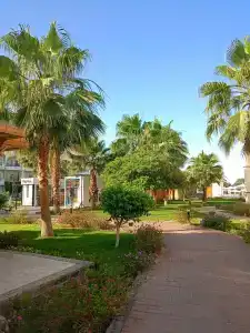 Labranda Club Makadi - 31