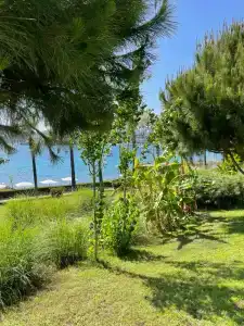 Kefaluka Resort Ultra All Inclusive - 27