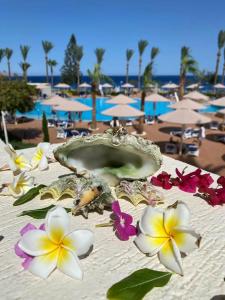 Pickalbatros Royal Grand Sharm - Adults Friendly 16 Years Plus - 94