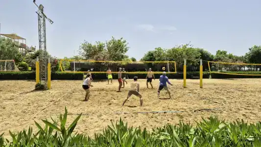 Tuı Magic Life Jacaranda - 63