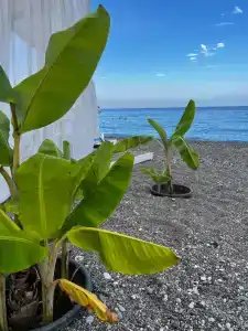 İstanbul Beach - 47