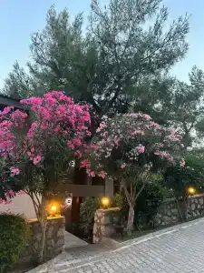 TUI BLUE Seno - Adults Only - 29