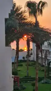 Amarina Abu Soma Resort & Aquapark - 15