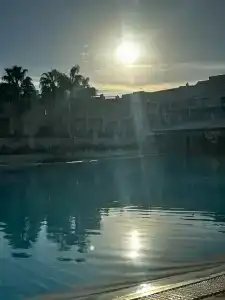 Ivy Cyrene Sharm Resort Adults Friendly Plus 13 - 5