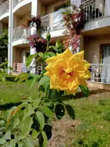 Tu Casa Gelidonya - 17