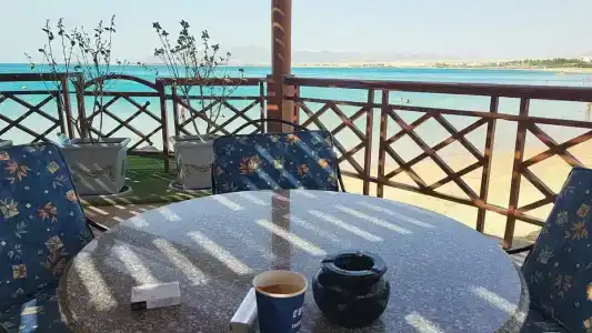 Palm Royale Resort - Soma Bay - 25