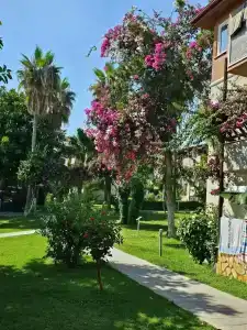 Justiniano Theodora Resort - 5