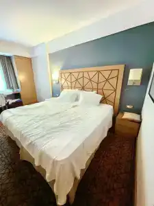 Ramada By Wyndham İstanbul Taksim - 79