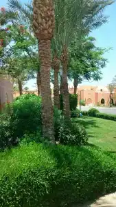 Jaz Makadi Oasis Resort - 81