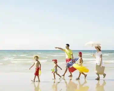 Sol Palmanova Mallorca - 38