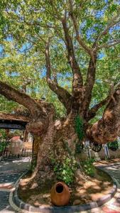 Manastırhan Otel Kazdağları - 38
