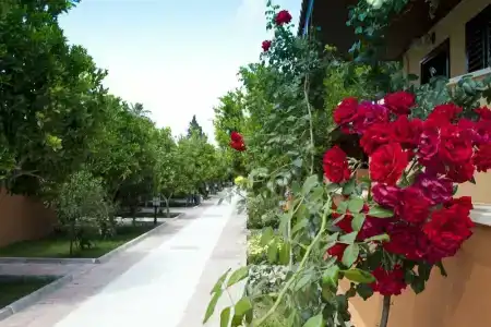 Ozlem Garden - All Inclusive - 86