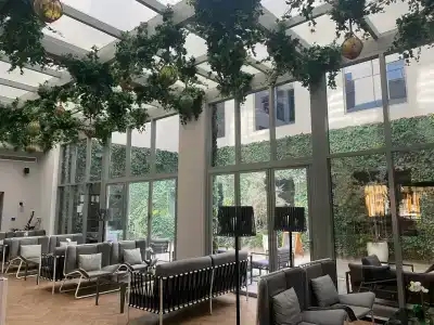 Lemon Tree, Jumeirah Dubai - 92
