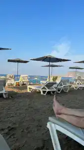 Saritas ONLY FAMILY CONCEPT - 51