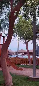 Pickalbatros White Beach Resort - Hurghada - 27