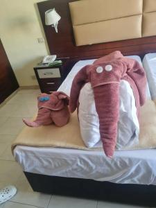 Cataract Layalina Naama Bay - 38