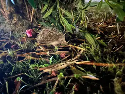 Kustur Club Holiday Village - All Inclusive - 90