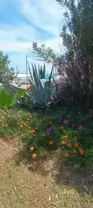 Belconti Resort - 88