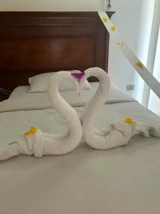 Sharm Bride Resort Aqua & SPA - 15