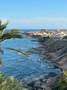 Masa International - 17