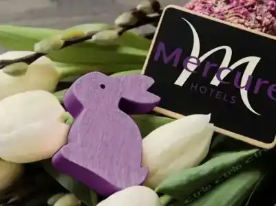 Mercure Frankfurt City Messe - 24
