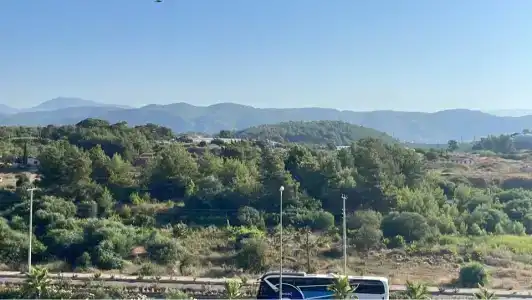 Botanik Platinum - 33