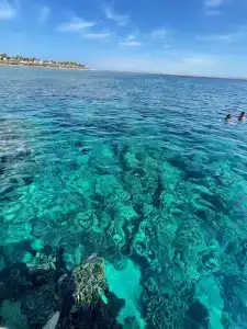 Baron Palms Adults Friendly Only 16 years plus Boutique Style - 67