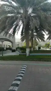 Radisson Blu, Muscat - 41