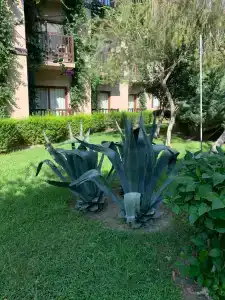 Alba Resort - Ultra All Inclusive - 42