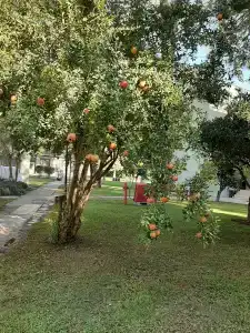 Kimeros Park Holiday Village - Ultra All Inc. Kids Concept - 42