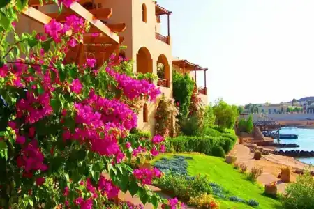 Sultan Bey Resort - 26