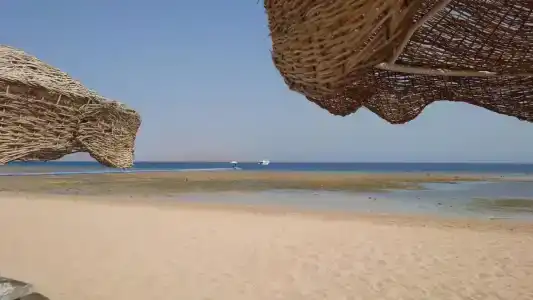 Baron Palms Adults Friendly Only 16 years plus Boutique Style - 66