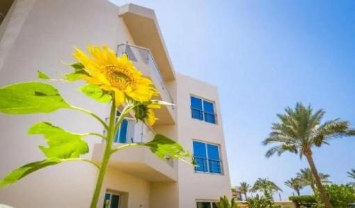 Seagull Beach Resort - Families and Couples Only - 18
