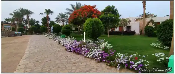 Labranda Sharm Club - 78