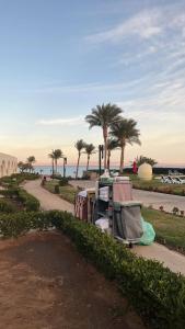 Le Méridien Dahab Resort & Spa - 80