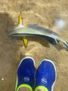 Concorde El Salam Sharm El Sheikh Sport - 55