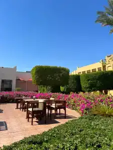 Stella Gardens Resort & Spa, Makadi Bay - 57