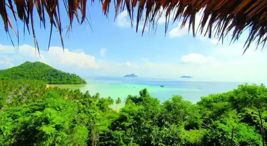 SAii Phi Phi Island Village - 71