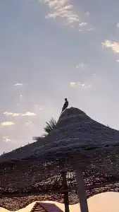 Baron Palms Adults Friendly Only 16 years plus Boutique Style - 99