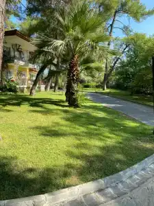 Grand Yazici Club Turban Termal - 33