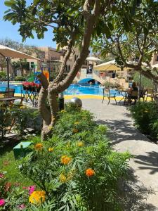 Novotel Bahrain Al Dana Resort - 69