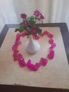 Turquoise Beach - 61