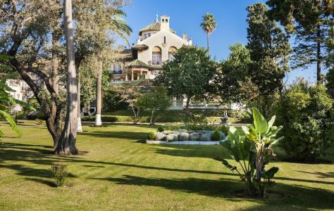 Globales Reina Cristina - 28