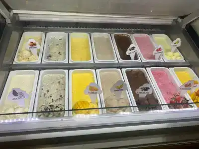 Fairmont The Palm - 74