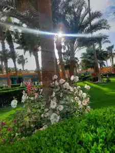 Giftun Azur Resort - 61