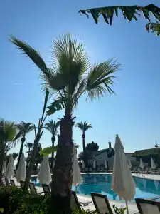 Armas Beach - 42